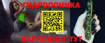 сатива Кунгур