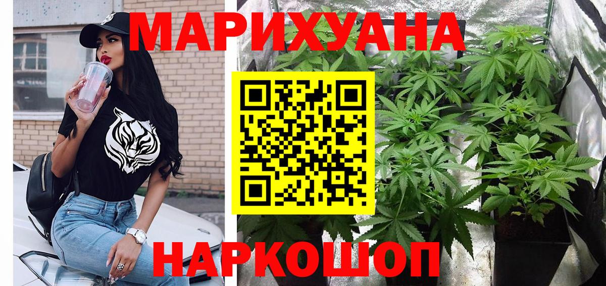 Меф Камышин